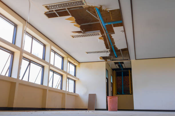 Best Mold removal after water damage  in White Oak, MD
