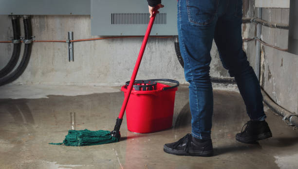 Best 24/7 water damage repair  in White Oak, MD
