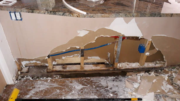 Best Basement water damage restoration  in White Oak, MD