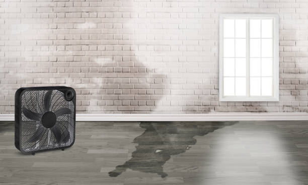 Reliable MD Water damage restoration Solutions