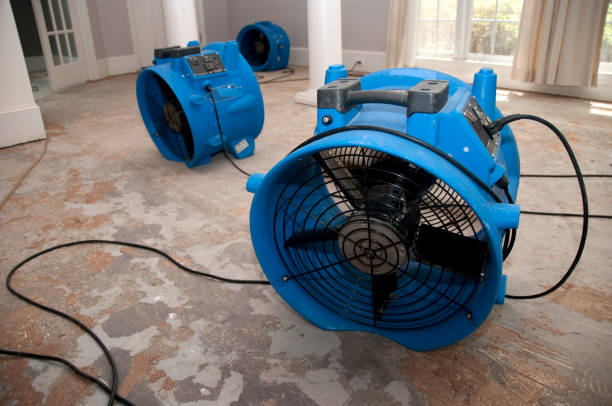 Best Water damage cleanup near me  in White Oak, MD