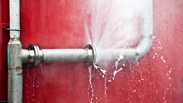 Best Local water damage restoration  in White Oak, MD